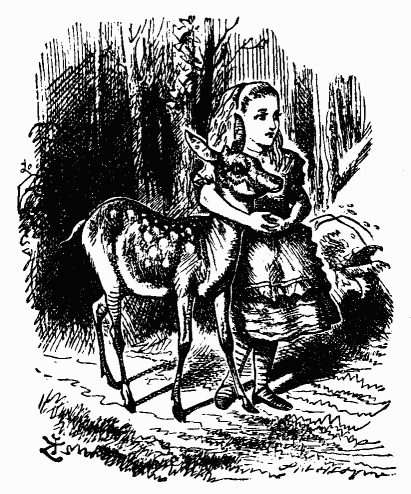 Сквозь зеркало и что там увидела Алиса, или Алиса в Зазеркалье (Пер.Н.М. Демуровой)